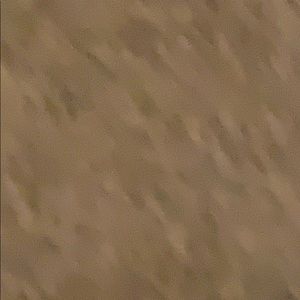 Meet your Posher, Noel